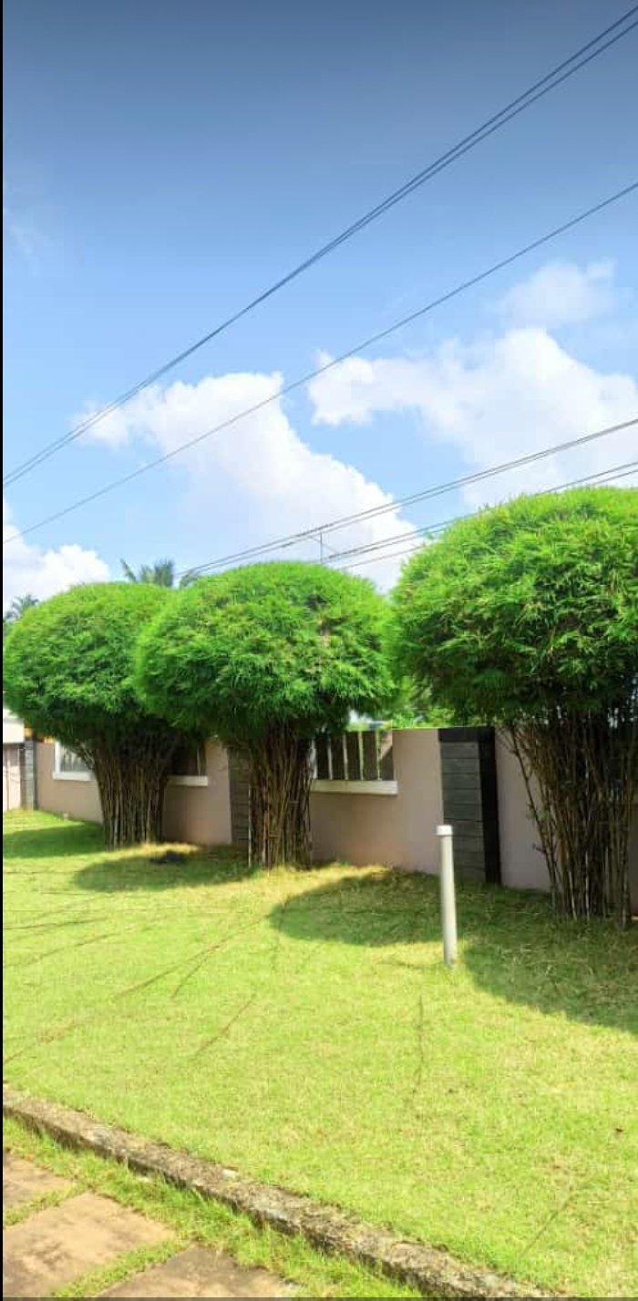 Topiary line